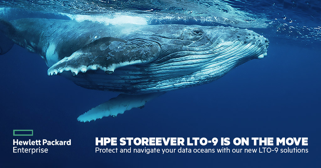 img-campagna-hpe-storeever