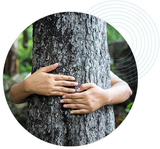 cerchi-sostenibilità-ambiente