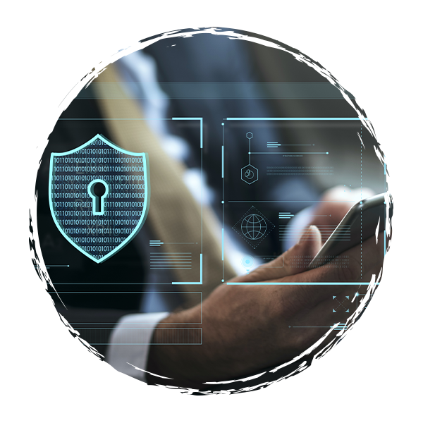 cerchio-sistemi-integrati